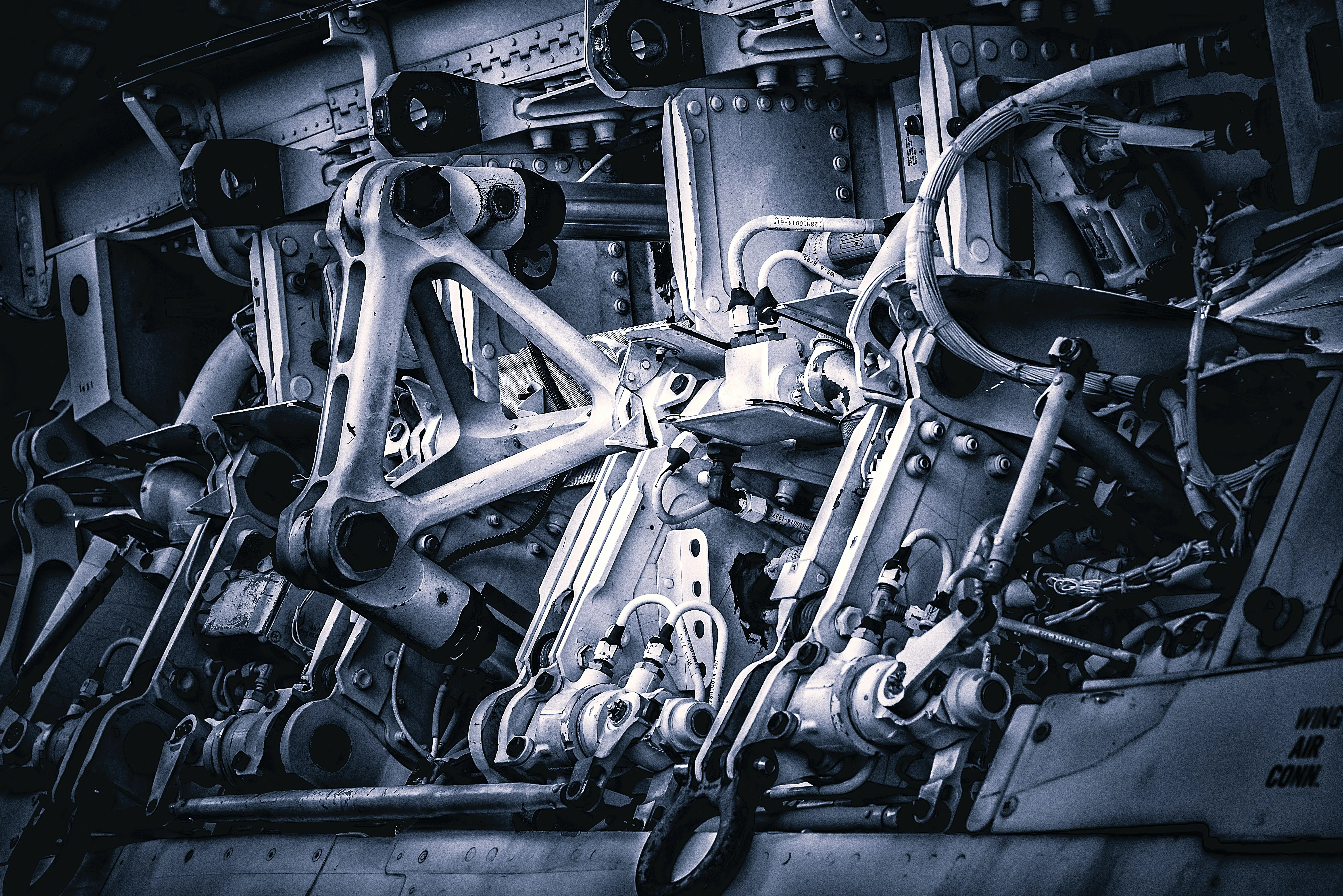 Whatsapp Polling: Broadcast Audience Engagement Ecosystem